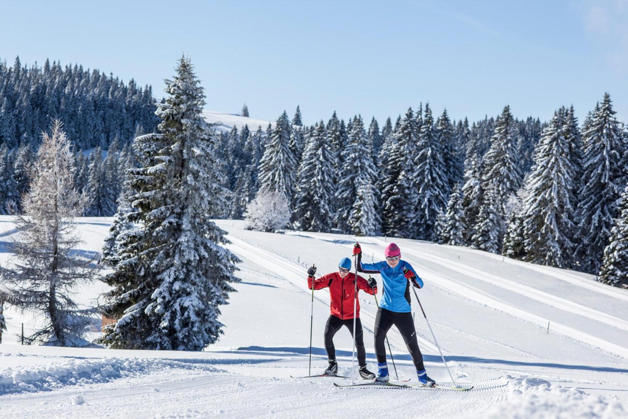 Ferienwohnung Seeblick Nr 5, 2 Zi-Baerental, Feldberg Rotwasser Екстериор снимка