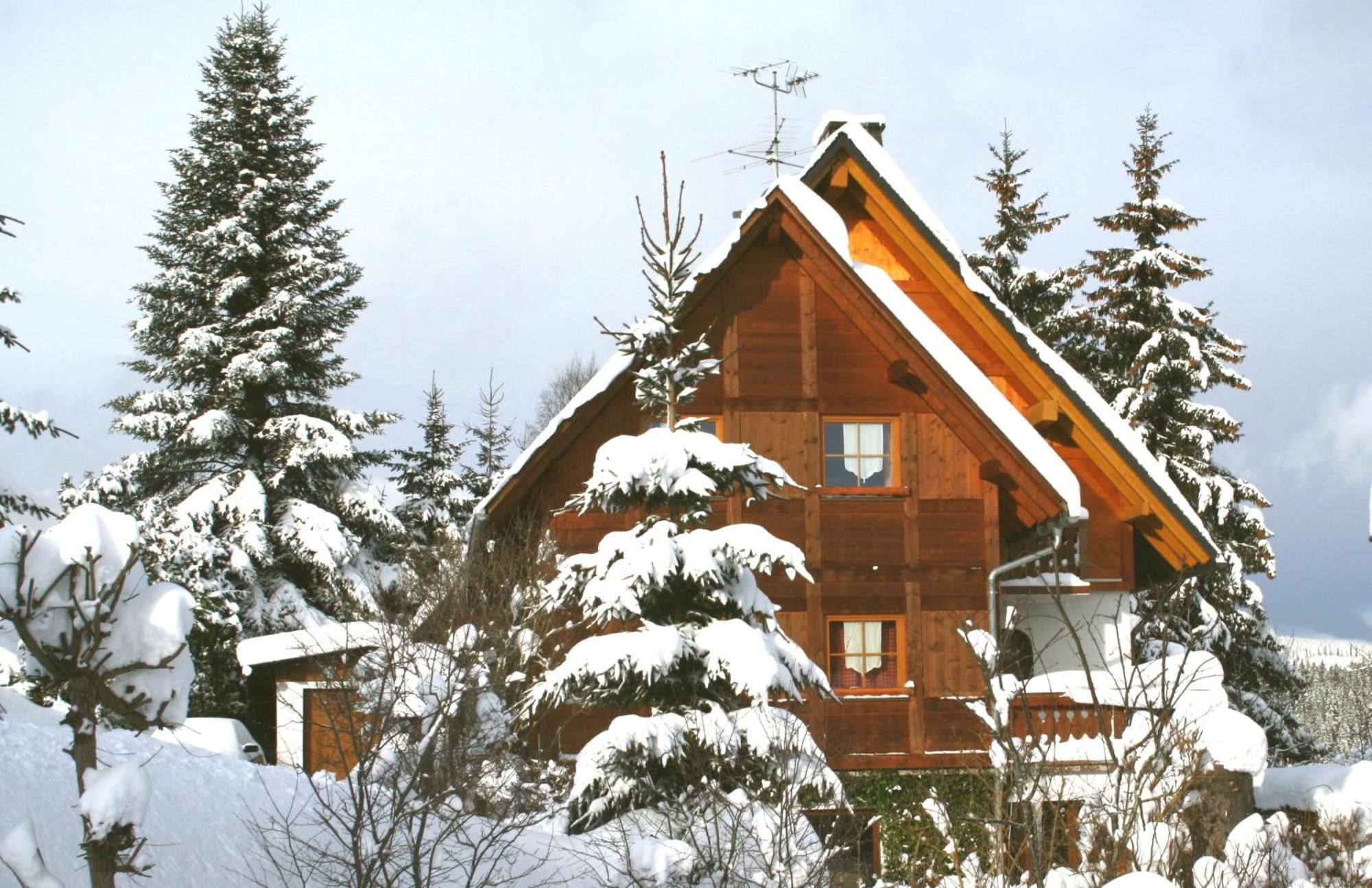 Ferienwohnung Seeblick Nr 5, 2 Zi-Baerental, Feldberg Rotwasser Екстериор снимка