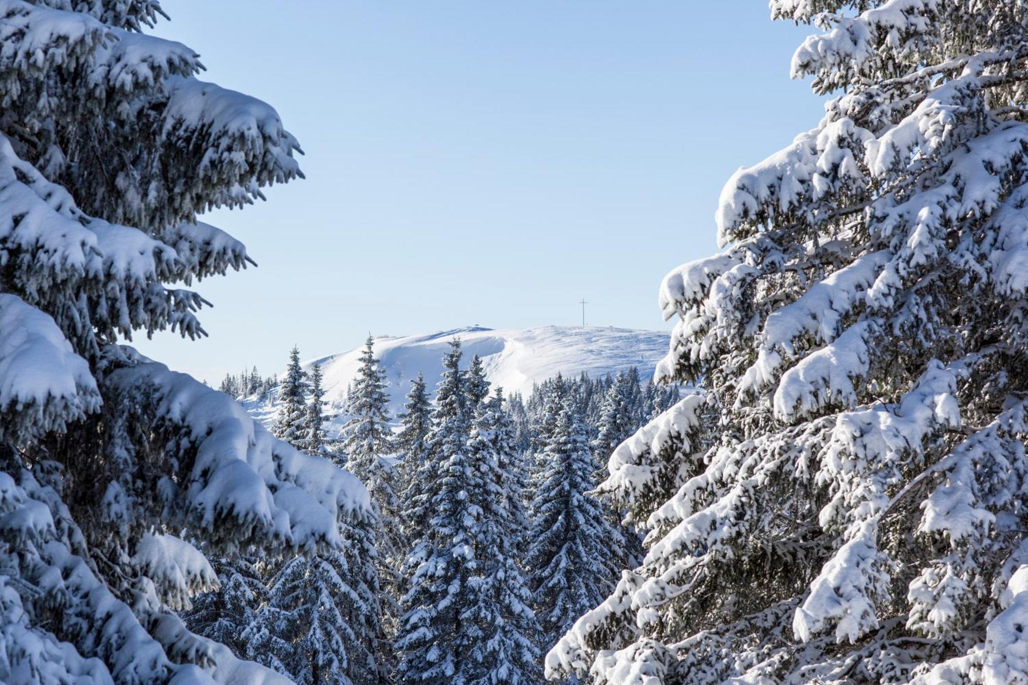 Ferienwohnung Seeblick Nr 5, 2 Zi-Baerental, Feldberg Rotwasser Екстериор снимка