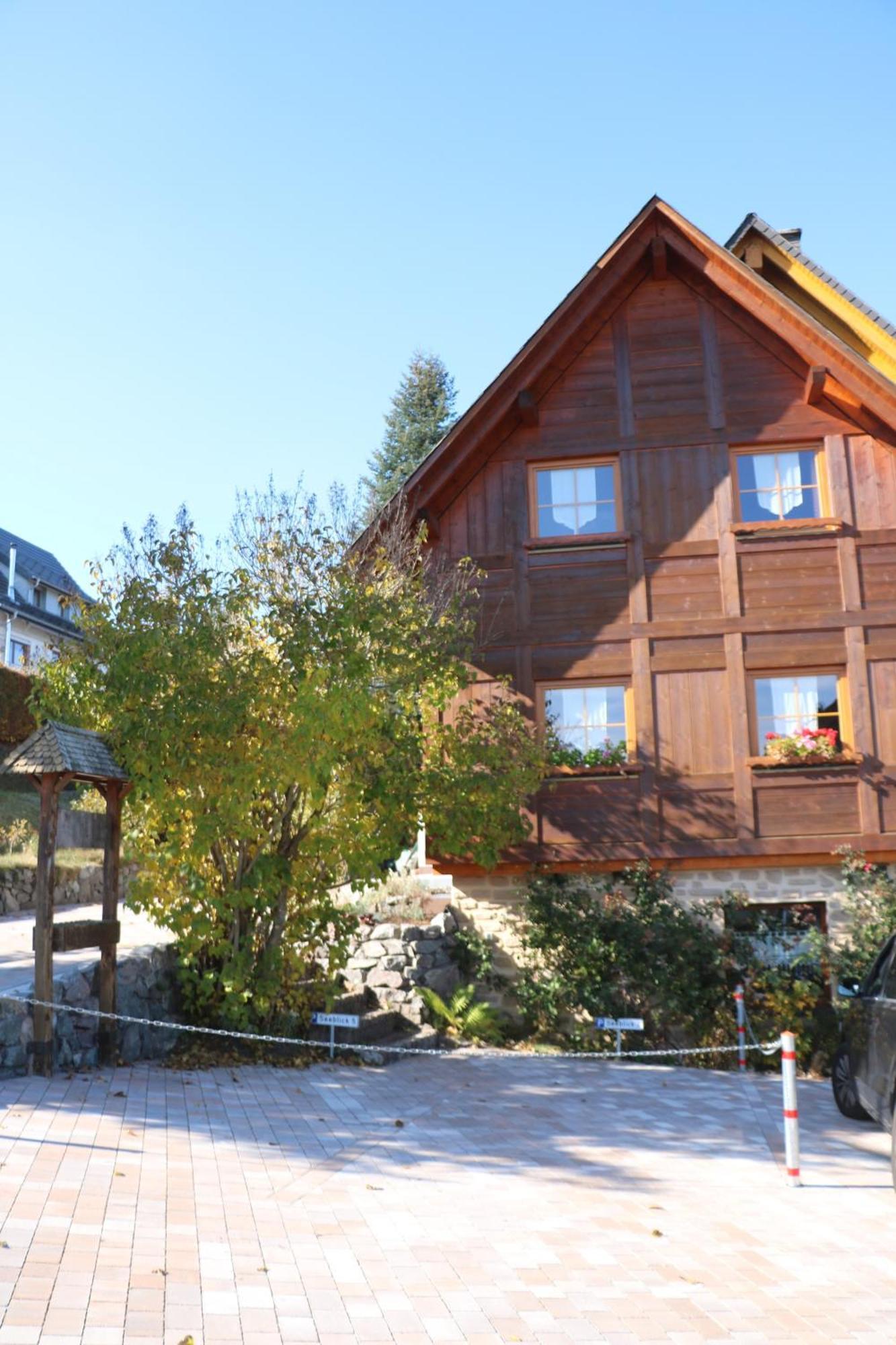 Ferienwohnung Seeblick Nr 5, 2 Zi-Baerental, Feldberg Rotwasser Екстериор снимка
