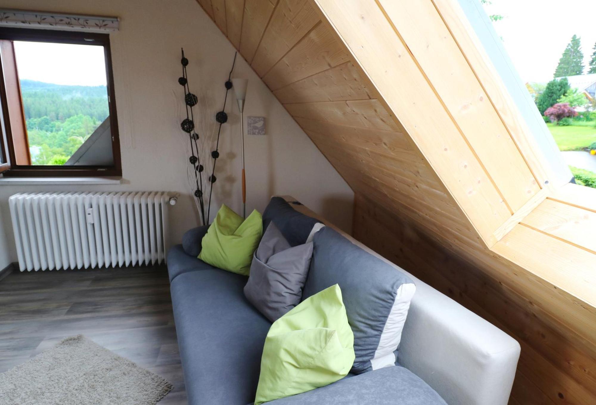 Ferienwohnung Seeblick Nr 5, 2 Zi-Baerental, Feldberg Rotwasser Екстериор снимка